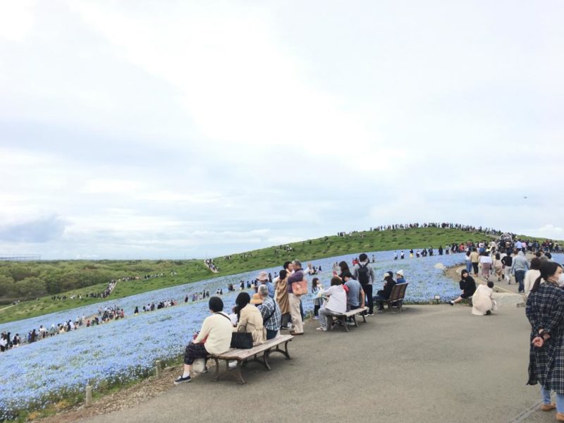 ひたち海浜公園